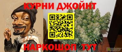 гидра Малгобек